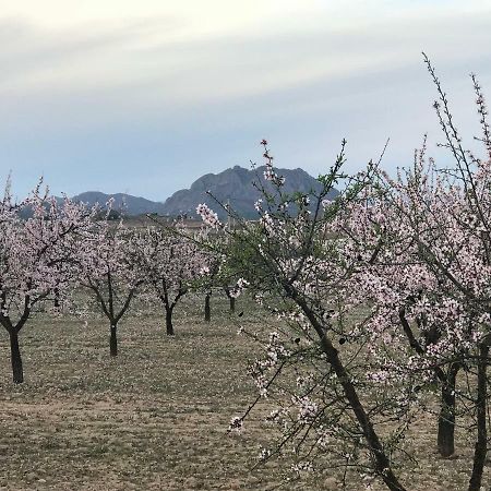 Las Ventanas Cortijo De Los Castellanos מראה חיצוני תמונה