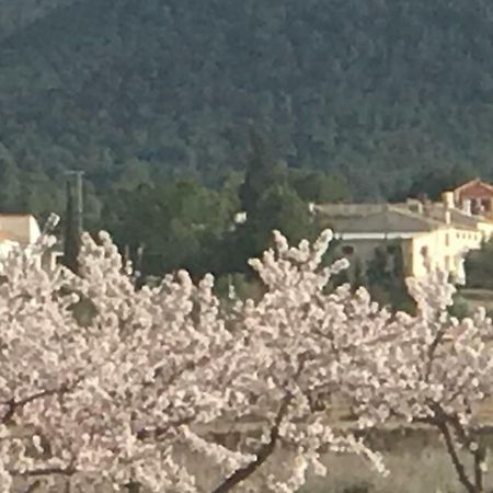 Las Ventanas Cortijo De Los Castellanos מראה חיצוני תמונה
