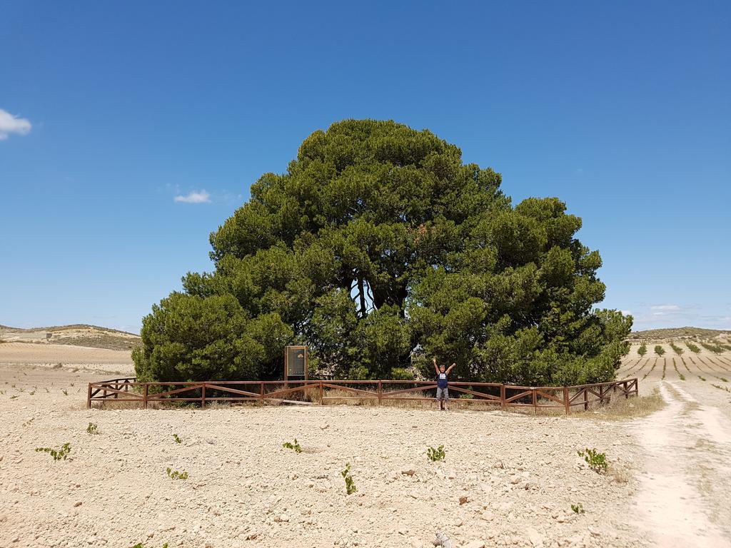 Las Ventanas Cortijo De Los Castellanos מראה חיצוני תמונה
